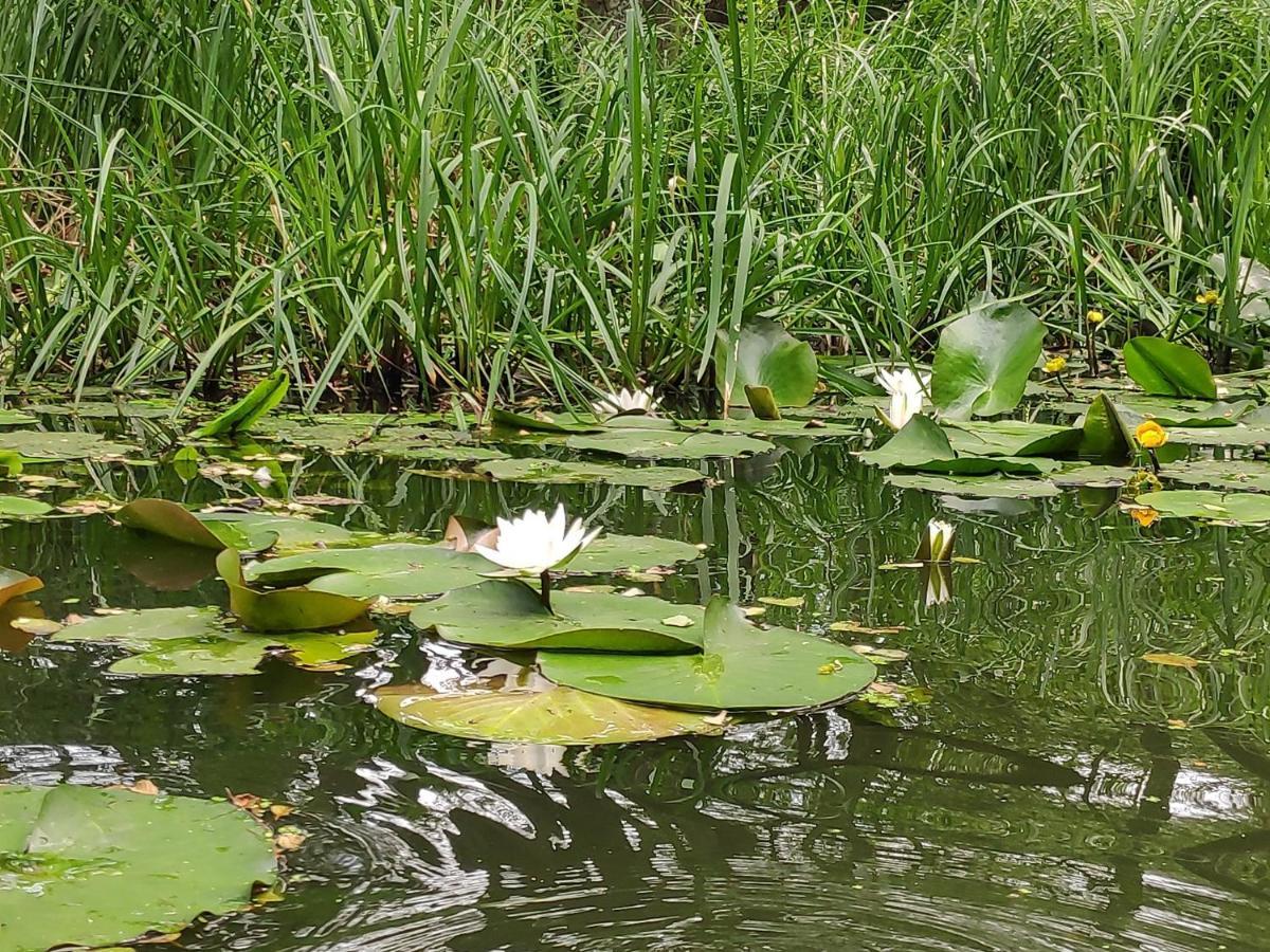 Agroturystyka Chycina Bagian luar foto