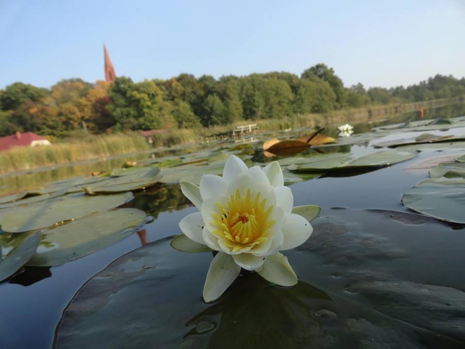 Agroturystyka Chycina Bagian luar foto